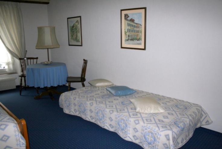Hotel Zum Alten Schweizer トヴァン 部屋 写真